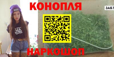 шишки Дубна