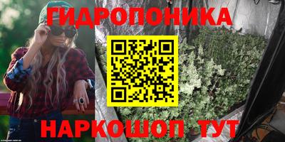 прущие грибы Гусев