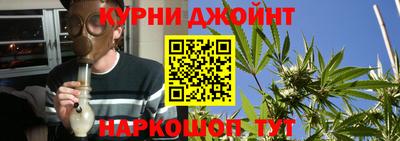 шишки Дубна