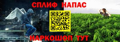 шишки Дубна